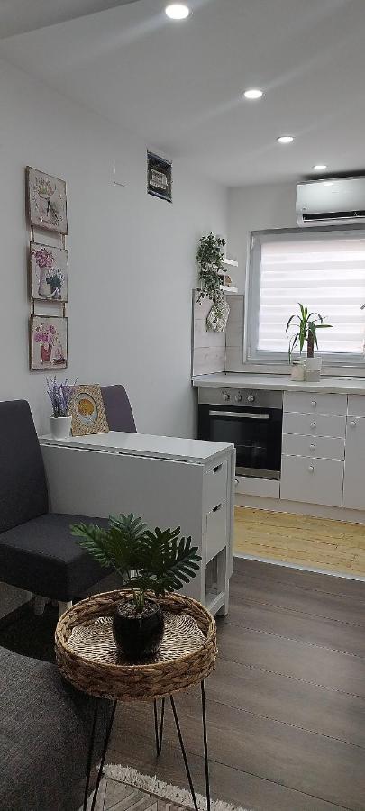 Queen Apartmancic Zajecar Exterior photo